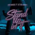 STAND UP IN IT