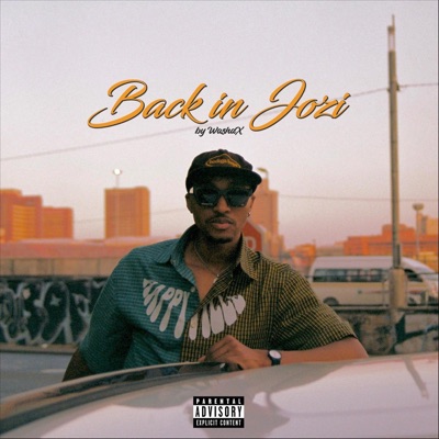 Back in Jozi - Single