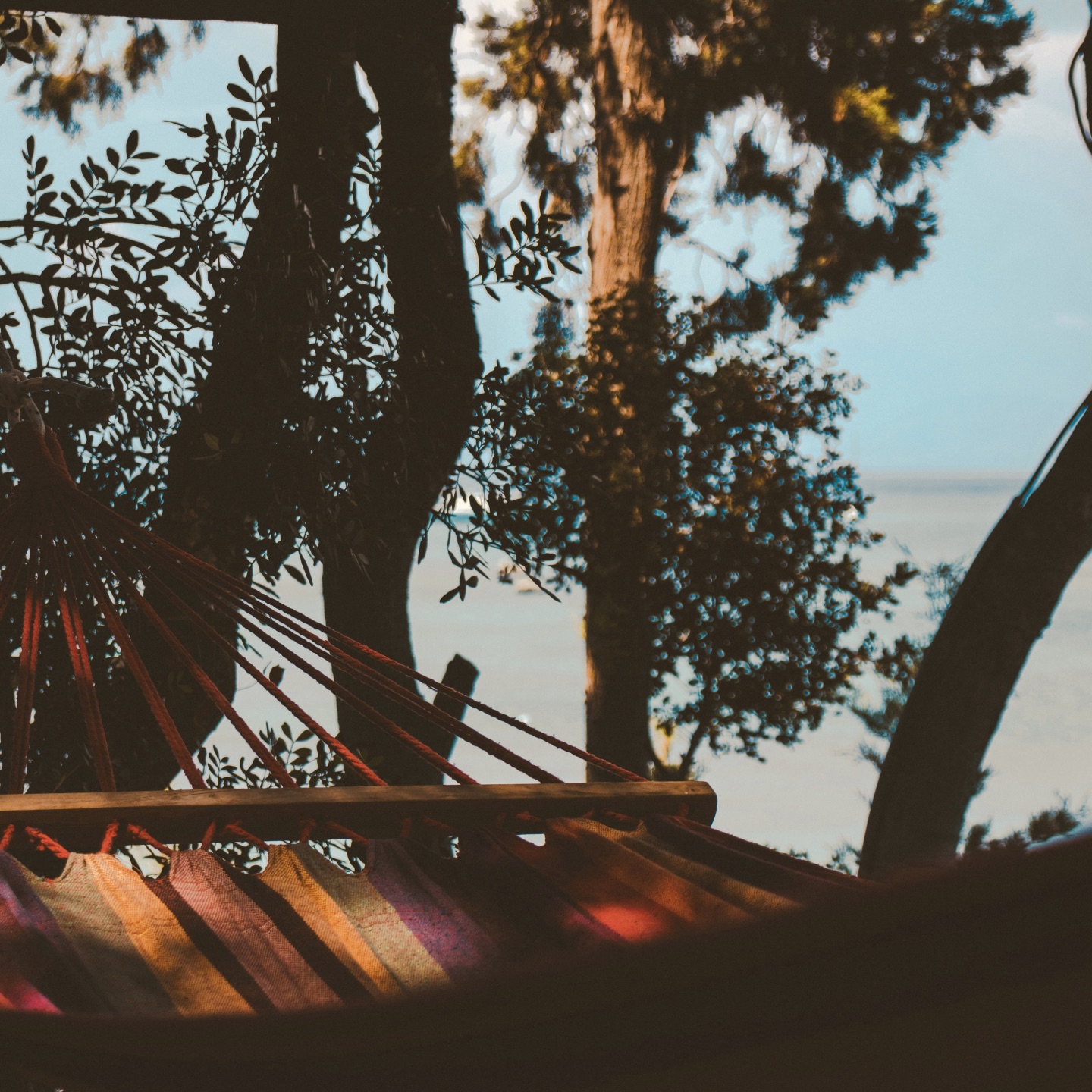 With The Flow - Single