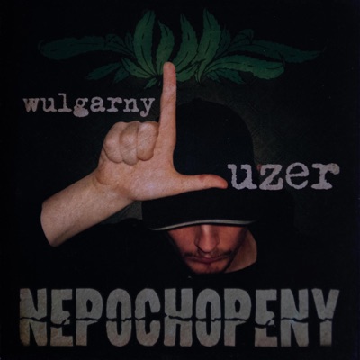 Nepochopeny