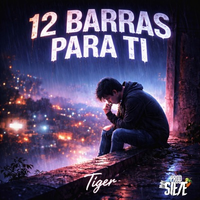 12 BARRAS PARA TI (feat. Tiger) - Single