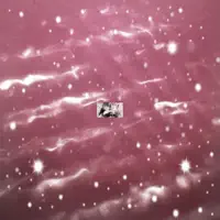 9999/9999 — Carla Can Kill Me & Lince Inu