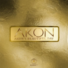 Akon - Akon's Beautiful Day artwork