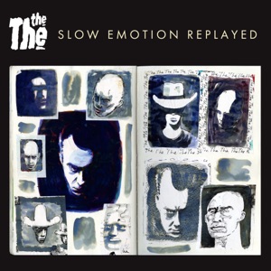 Slow Emotion Replayed