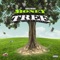 Money Tree - Skillibeng lyrics