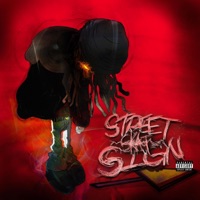 Street Sign - Single - Skatpac