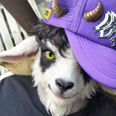 Haciendo que funcione - Single