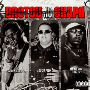 Brotou no Chapa (feat. Mc Nanziinho)