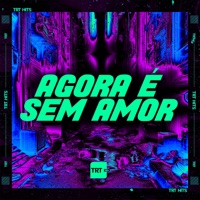 AGORA É SEM AMOR (feat. Mc Ster & MC Vitinho Avassalador) - Single - DJ Negritinho