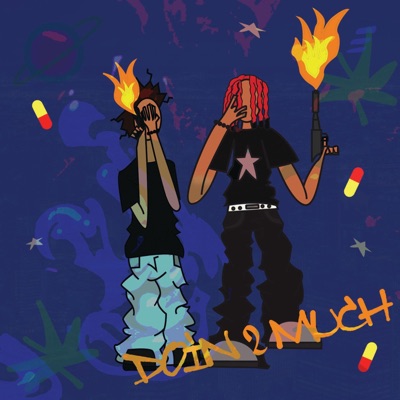 Doin 2 much (feat. ynslilwhoa) - Single