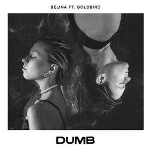 Dumb (feat. Goldbird)