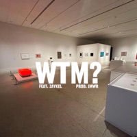 WTM? (feat. ZayKel) - Single - Sly!