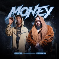 Money (feat. Chocoleyrol) - Single - Peluchedaplug