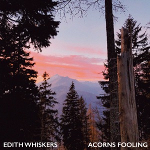 Acorns Fooling - Single
