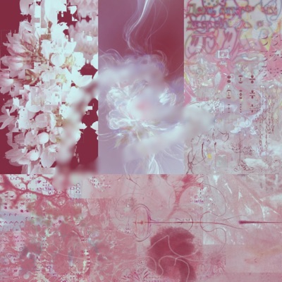 you're blooming - Single