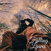 Falling Leaves - Single - Deiv Beat
