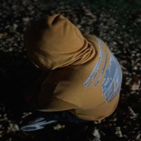 Theories - Single - Blulone