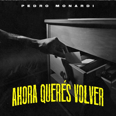 Ahora Querés Volver - Single