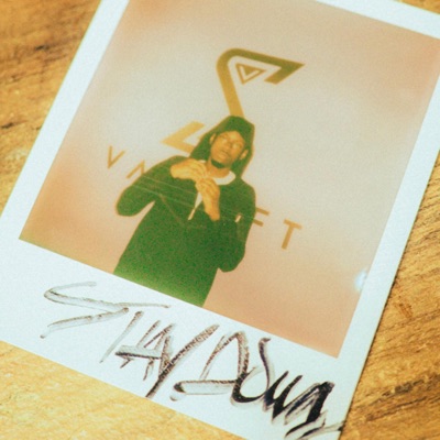 Heartsick (VAShift Live Performance) - Single