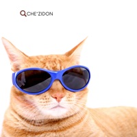 Che*Zidon (feat. Don Chezina) - Single - BM Legacy & Ale Mix