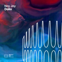 Dalia - Single - Nay Jay