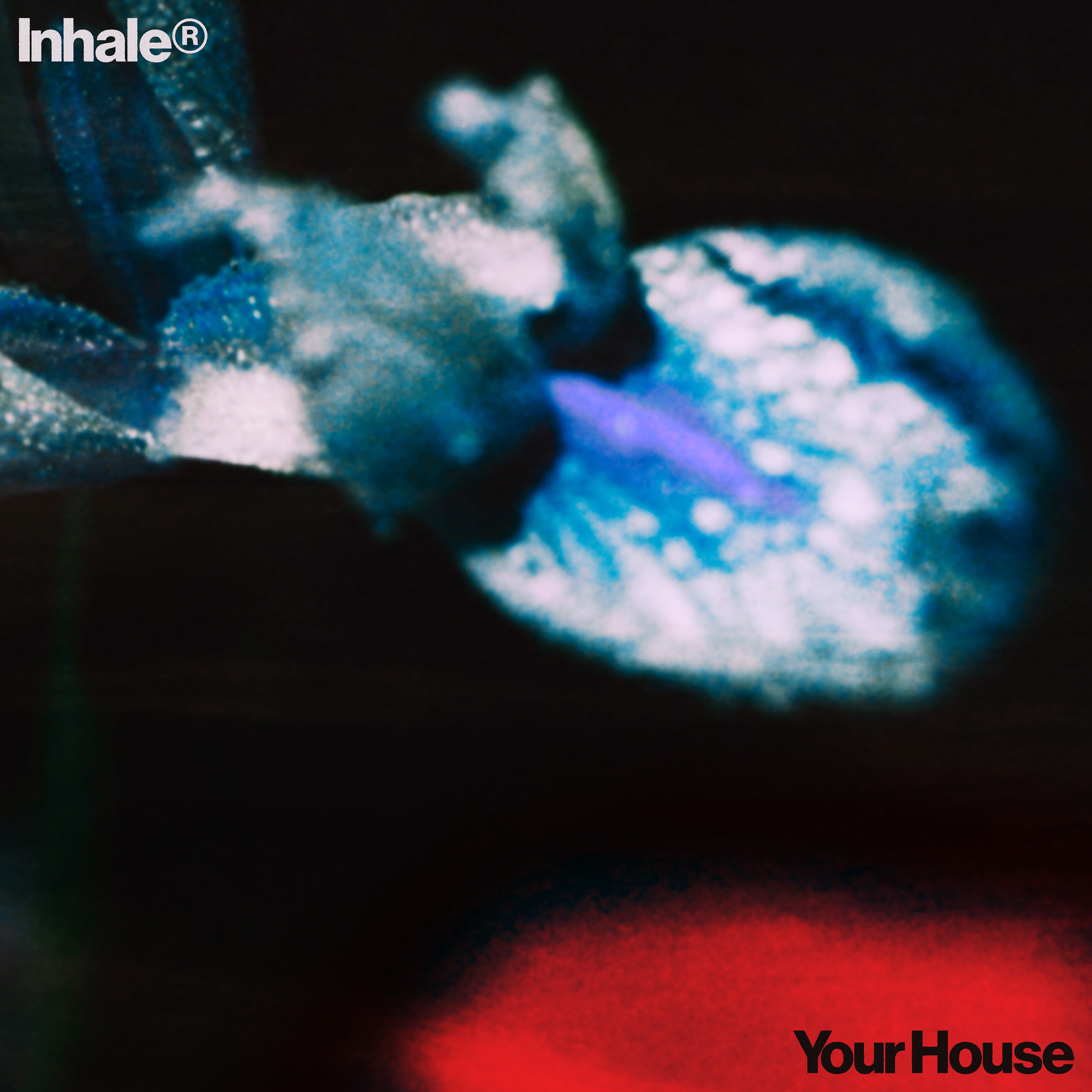 Inhaler - Your House ( 1)