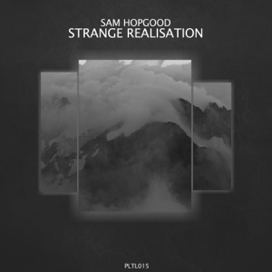 Strange Realisation - Single