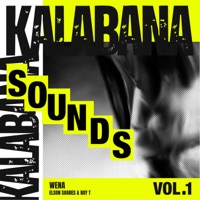 Wena (Radio Edit) - Single - Elson Soares & Ray T