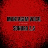 MONTAGEM VOCAL SONORA 2.0 - Single