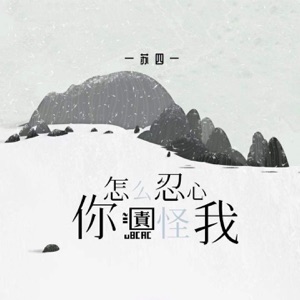 你怎么忍心责怪我 - Single