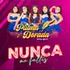 Agrupación Pluma Dorada - Nunca Me Faltes