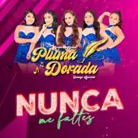 Nunca Me Faltes — Agrupación Pluma Dorada