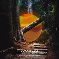 Scent of Wood (Bound to Divide Remix) — UOAK,Ceci,Bound to Divide