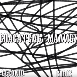 Спасатель малибу Lleonid & cubik