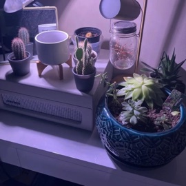 Not Guilty (feat. Kolby Silva) CATVLYST