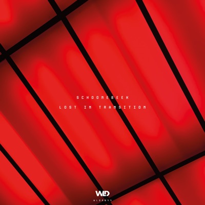 Lost in Transition - Single