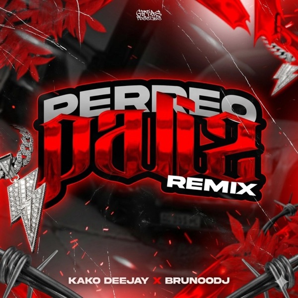 PERREO PALI2 RMX - FTT BRUNOODJ