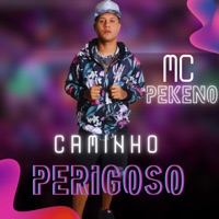 Caminho Perigoso (feat. DJ NINE) - Single - mc pekeno
