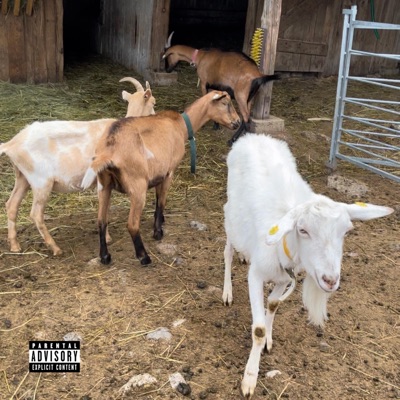 yuma county - Single