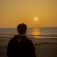 wat is er gebeurd? - Single - Tijger