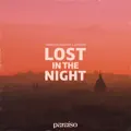 LOST IN THE NIGHT