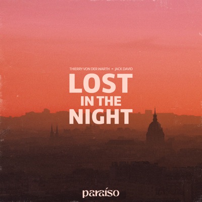 Lost In The Night - Single