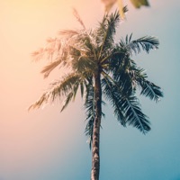 Crystal Clear - Single - Khwezi