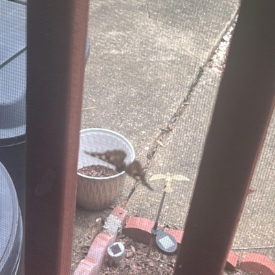 1 outta 10 (feat. frazier) - Single