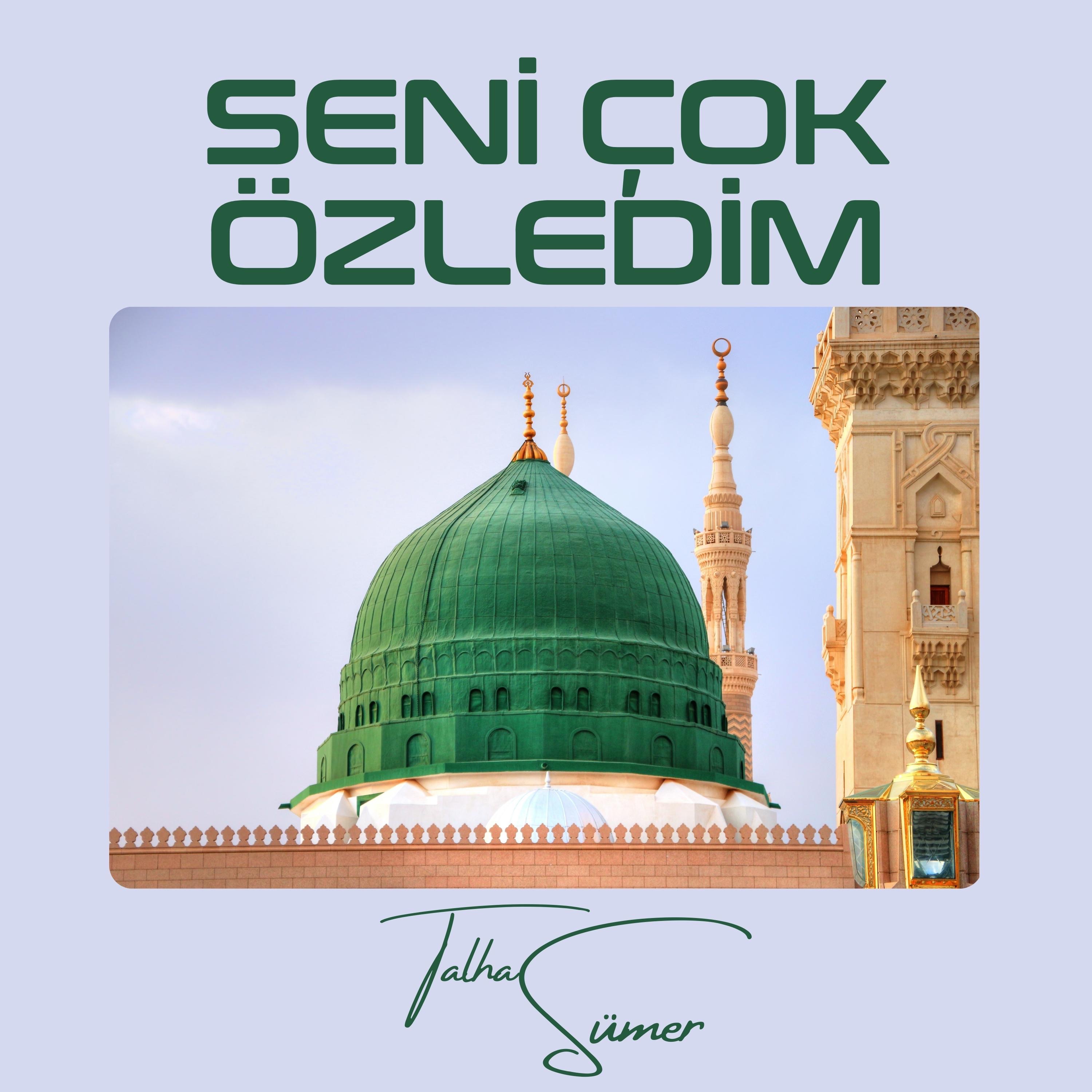 Seni Çok Özledim - Single