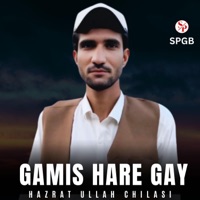 Gamis Hare Gay (feat. Hazrat Ullah Chilasi) - Single - SPGB