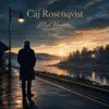 Caj Rosenqvist - Ljuset i fönstret