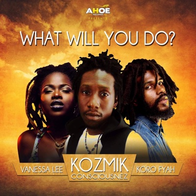 What will you do (feat. Koro Fyah & Vanessa Bongo) - Single