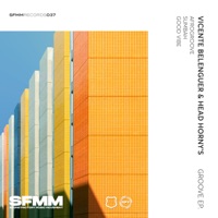 Groove - Single - Vicente Belenguer & Head Horny's
