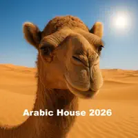 Harem Nights — Jawad Mojahid